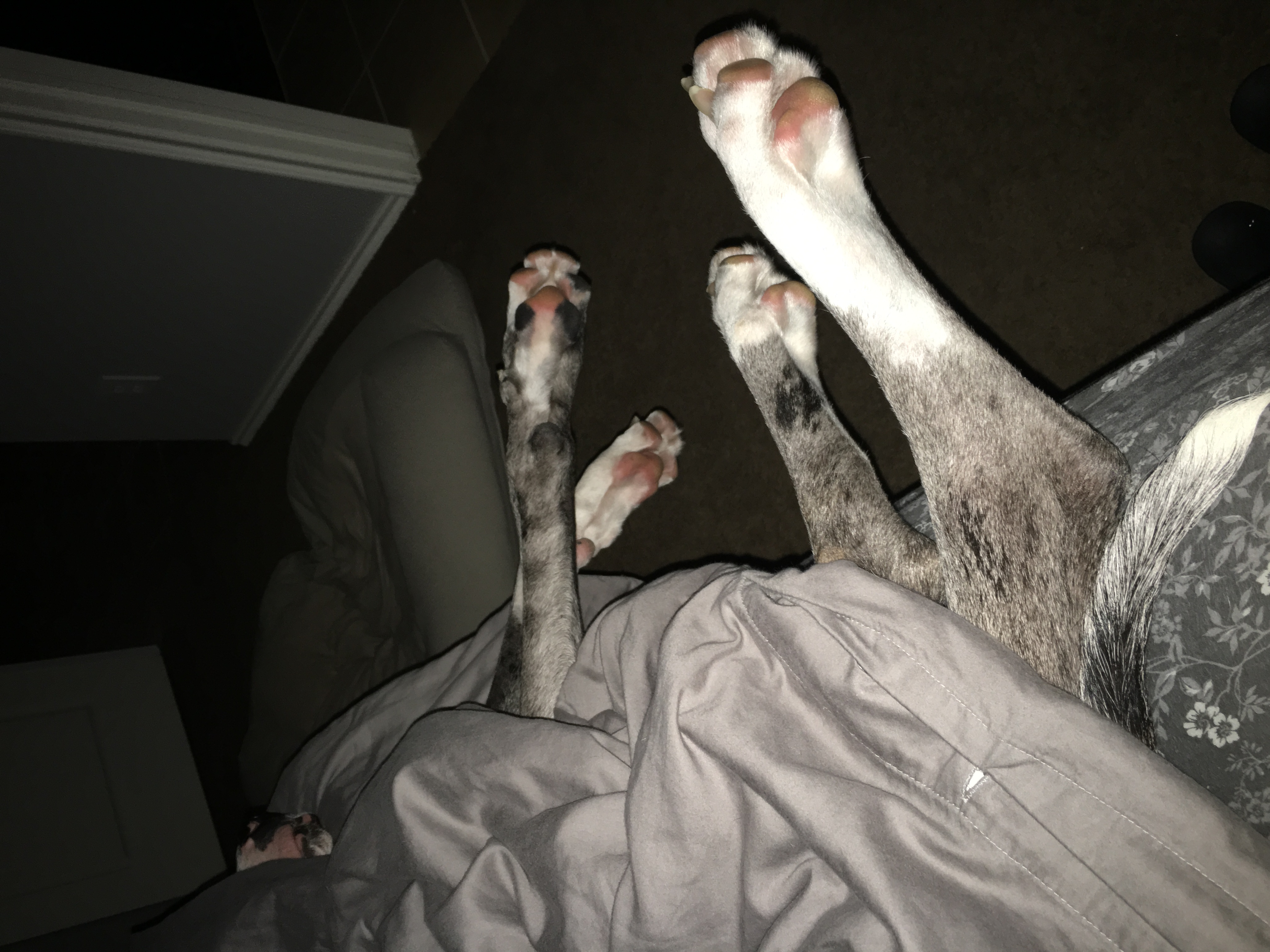 Feet Undercovers